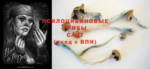 круглые Алзамай