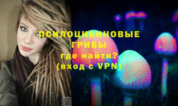 круглые Алзамай