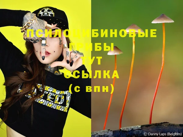 мяу мяу мука Алексин