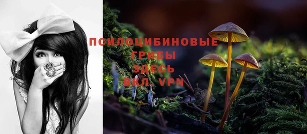 мяу мяу мука Алексин