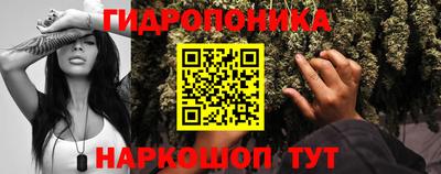 наркотики Краснознаменск