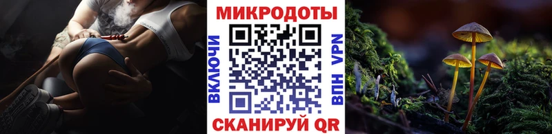 купить наркотики сайты omg зеркало Псилоцибиновые грибы Psilocybine cubensis Тамбов