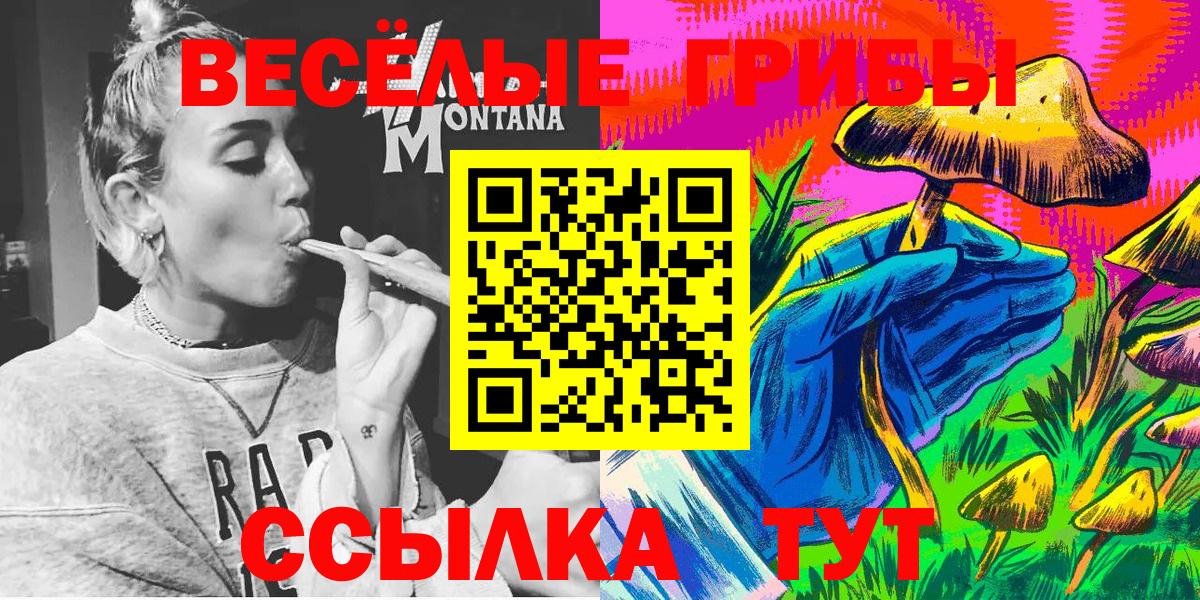 Псилоцибиновые грибы Psilocybine cubensis Тамбов